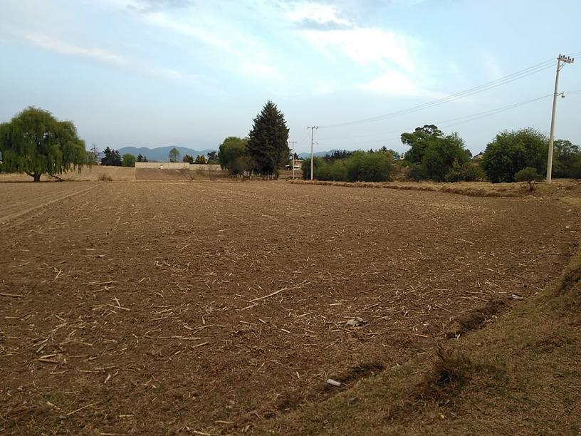 Terreno en Venta Solanos, San Mateo Mozoquilpan, Otzolotepec, México