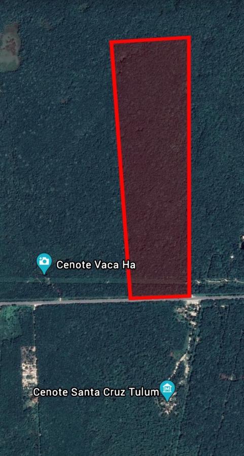 Terreno en Venta de 34 Hectáreas en Carretera Tulum Cobá, Tulum, Q, Roo