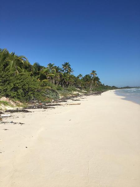 lote  en kl 5 arco maya de tulum con frentes de playa sian ka-an