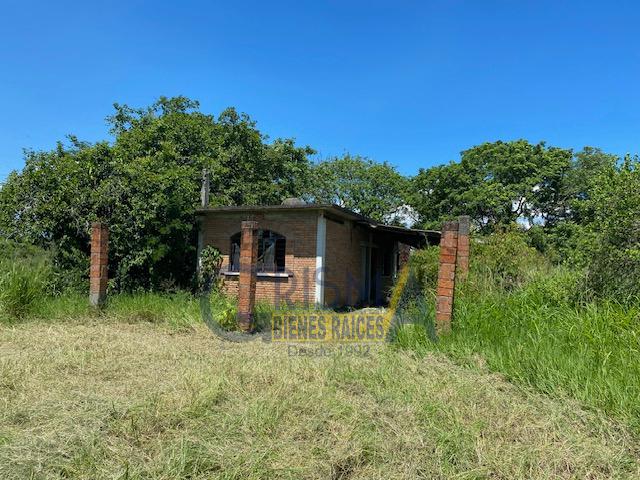 PRECIOSO RANCHO AGRÍCOLA EN CARRETERA A TEPETZINTLA