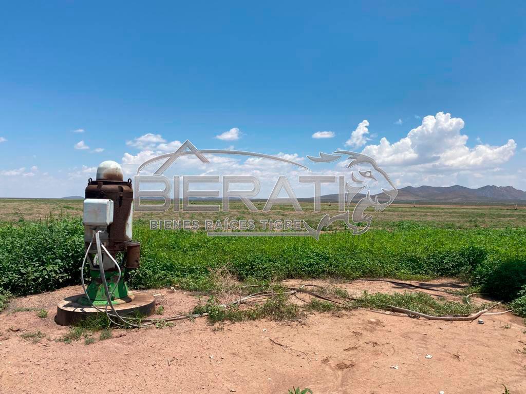 Terreno en Venta - Buenaventura, Chih.