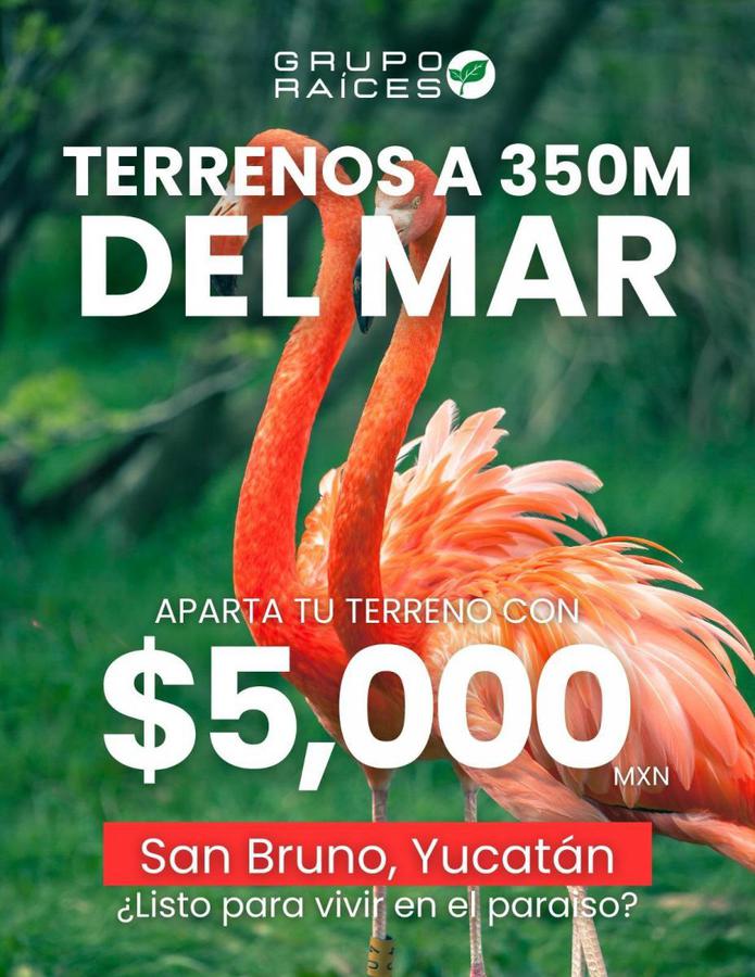 Terreno  Venta en Yucatán, Playa Esmeralda