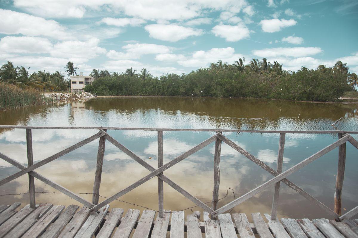 TRIBV MAYA - Terrenos en Venta en Santa Clara, Desde 300 m2, Yucatán