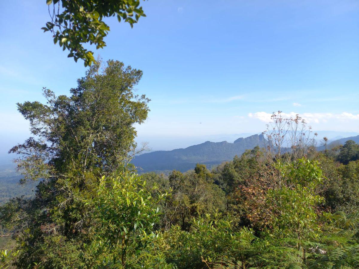 Terreno en venta en la zona de Teziutlán