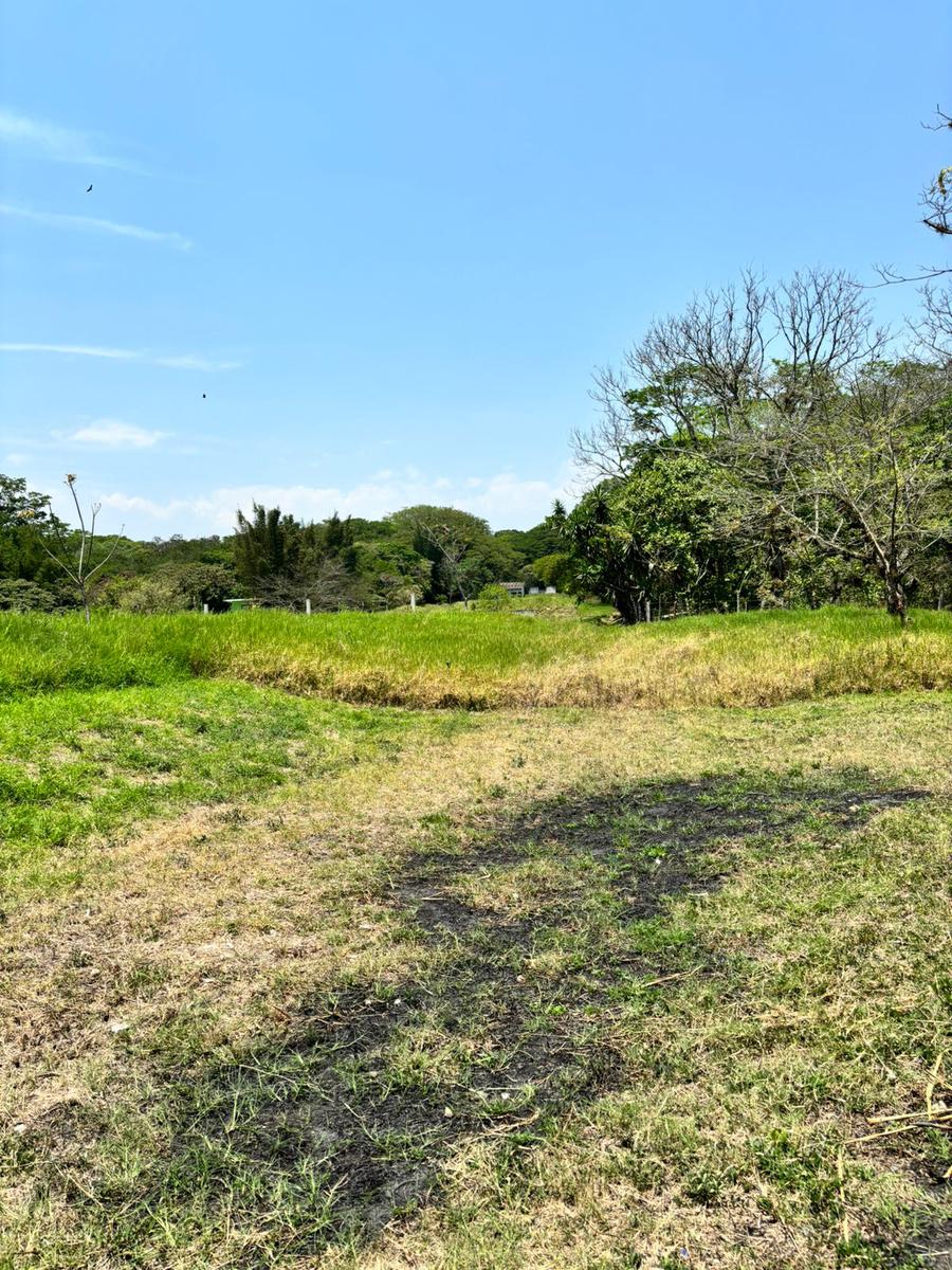 3 HECTÁREAS EN VENTA EN ALBORADA, VERACRUZ