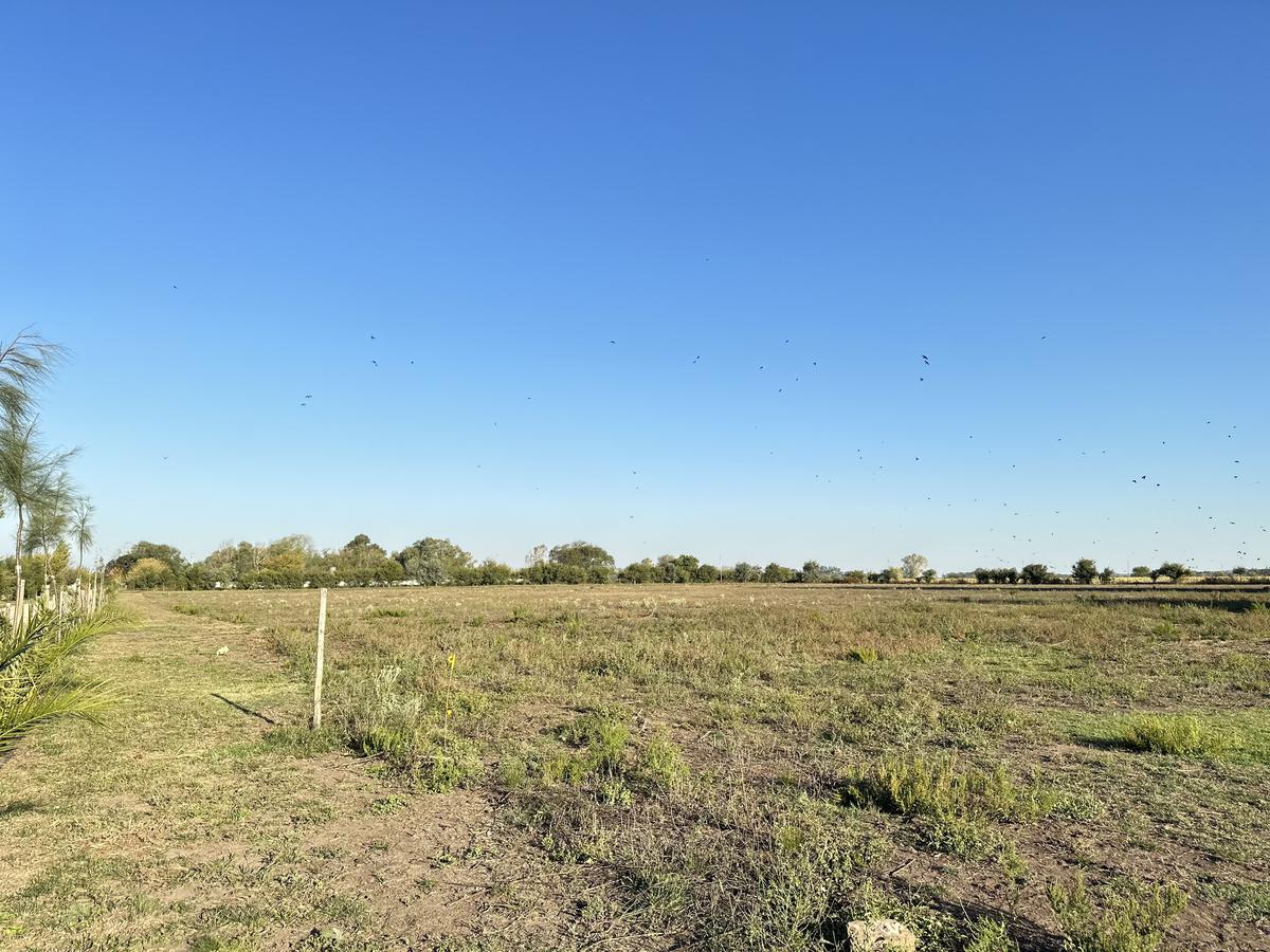 Campo en Lobos