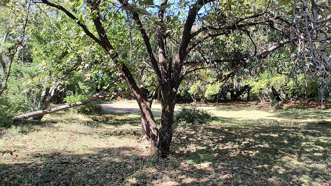 Terreno en Cuernavaca, Zona Norte a un paso de Ave. E. Zapata y salida a CDMX