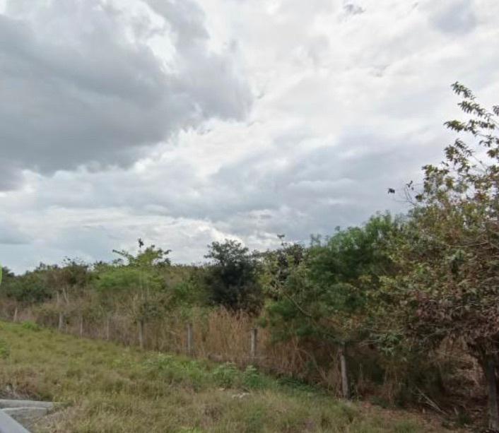 2 HECTÁREAS EN VENTA EN LA CARRETERA FEDERAL XALAPA VERACRUZ