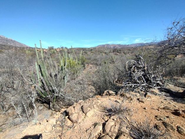 Campo en  TIERRA NUEVA