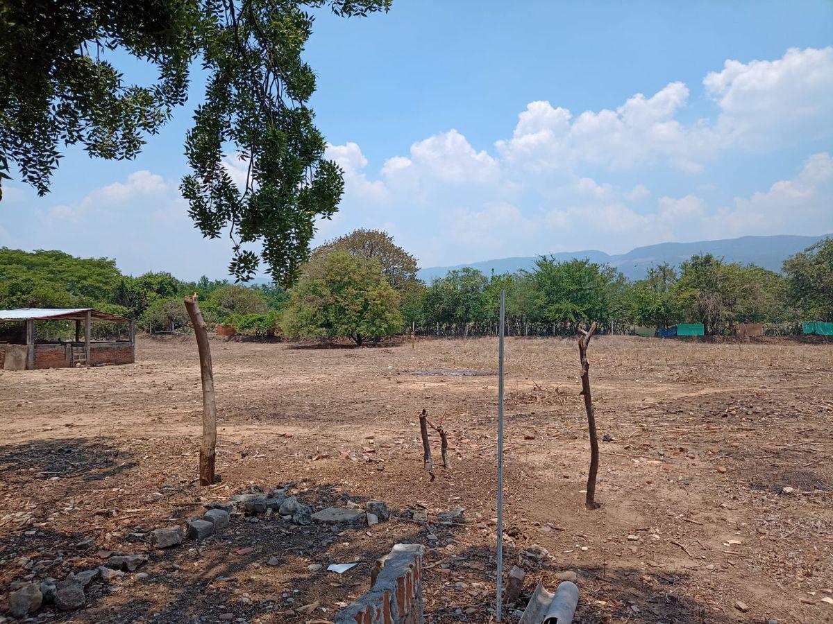 Venta de Terreno en Suchiapa, 99x99 para Siembra o crianza de animales.