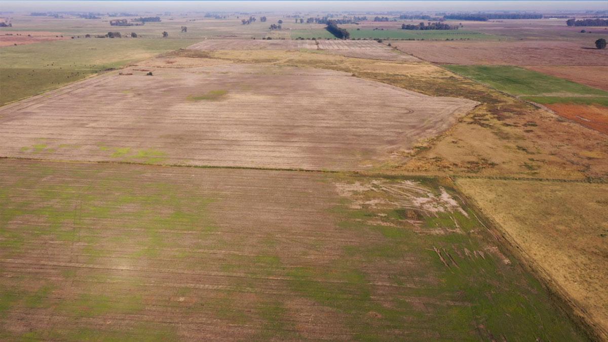 Campo de 60 Hectáreas en Navarro