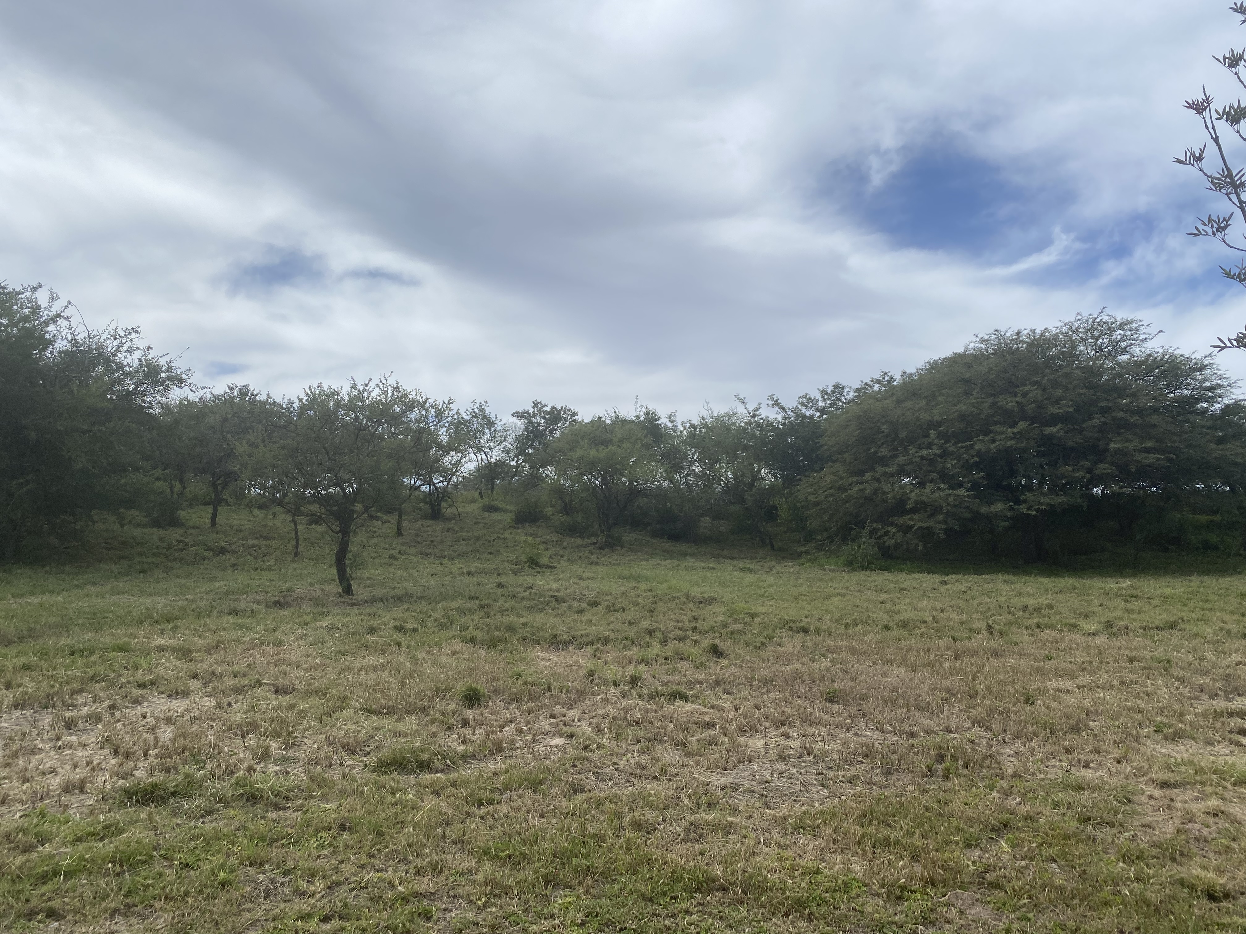 Terreno - Estancia El Terrón