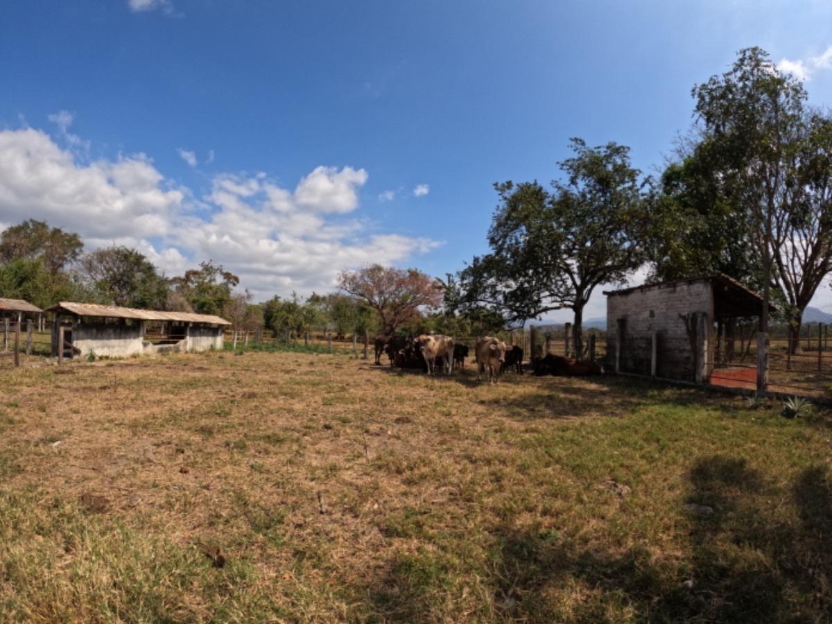 RANCHO en VENTA de 60 HECTÁREAS (30 VEGA/30 ALTO) en VILLAFLORES