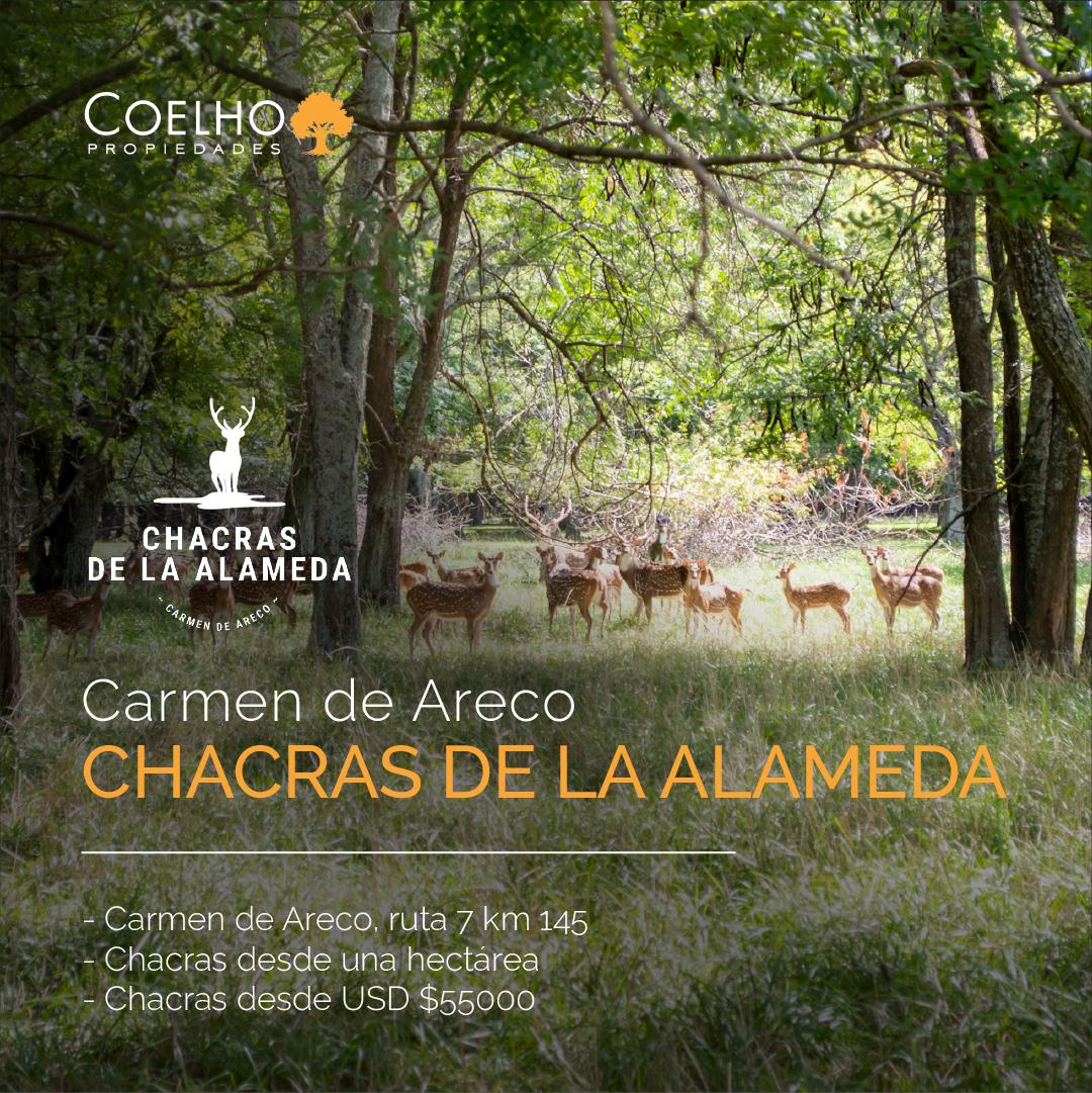 Terreno en venta en Carmen De Areco - Chacras de la Alameda