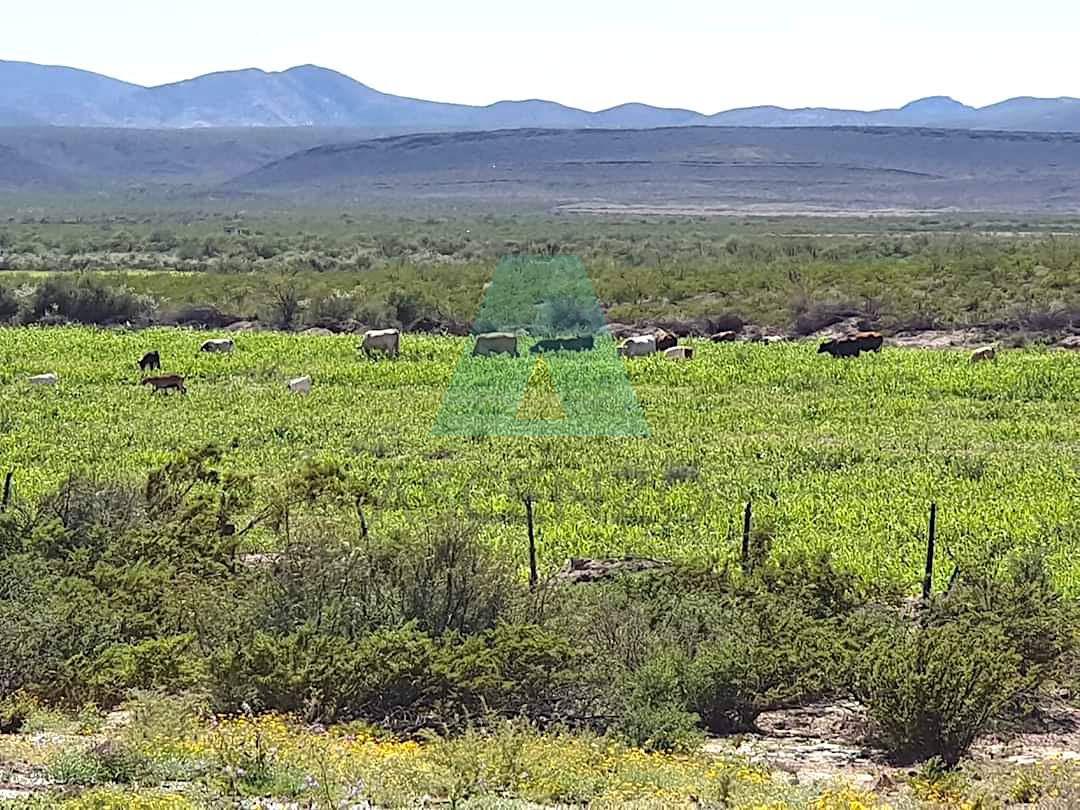 Venta de Rancho Ganadero rumbo a Coyame, Fergon