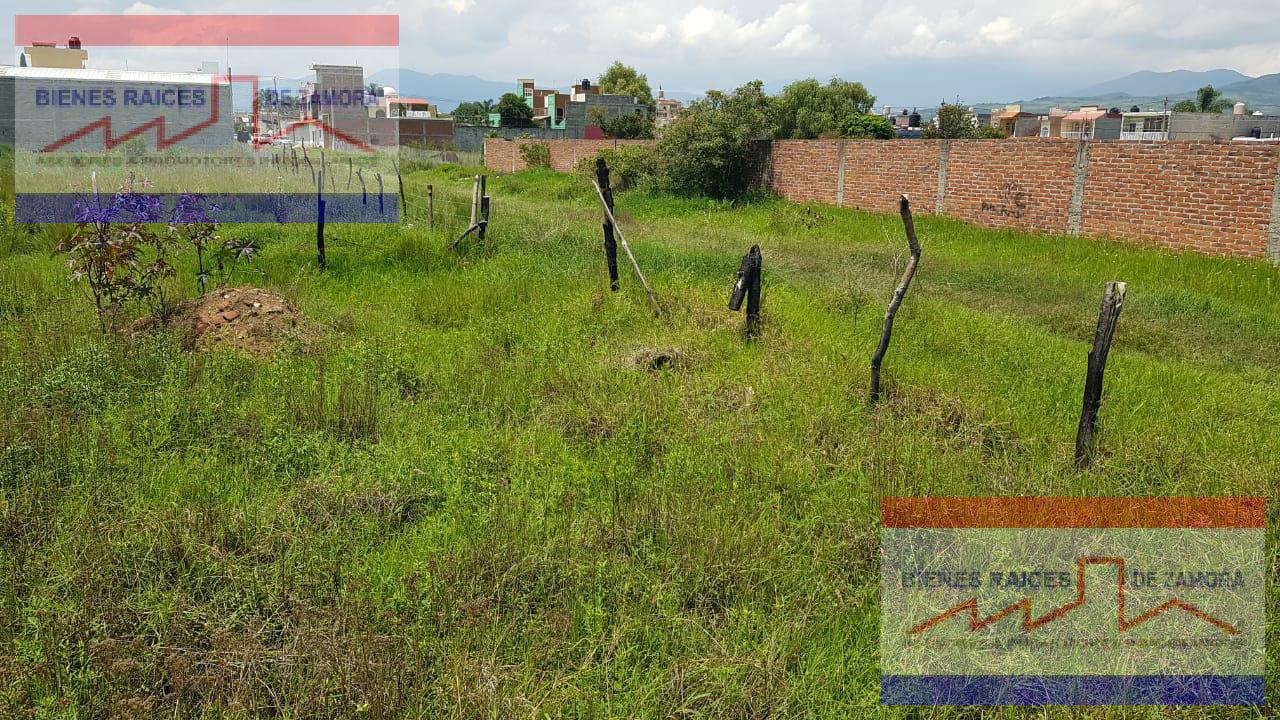 LOTE RESIDENCIAL DISPONIBLE EN VENTA PRIMITIVA QUIROZ S/N, EL PESCADOR, TANGANCICUARO, MICHOACÁN. C.P. 59750