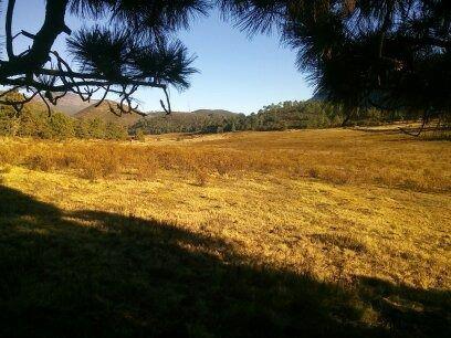 TERRENO RUSTICO EN VENTA , EN LA SIERRA DE ARTEAGA EN SALTILLO COAHUILA