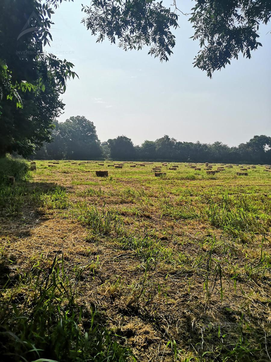 Terreno en venta de 4 Hectareas  industrial Agua fría Apodaca Nuevo León.