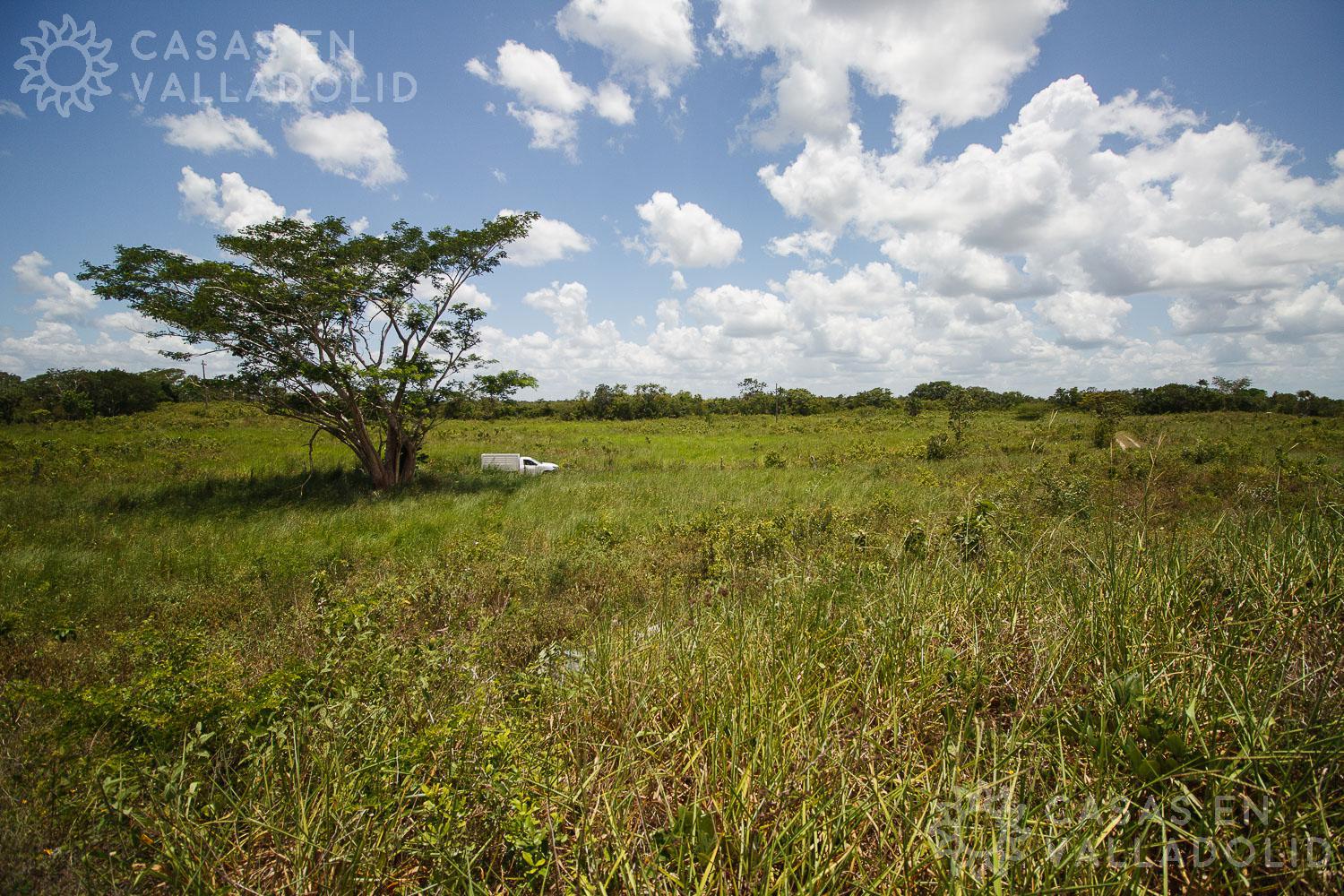 Amplio rancho en venta cerca de Valladolid