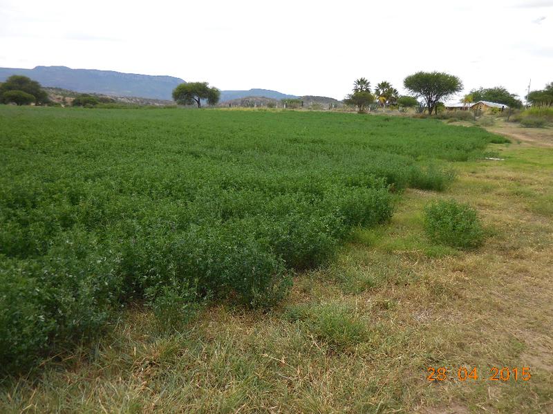 Rancho en Venta ubicado en Tenanguillo, Tabasco, Zacatecas