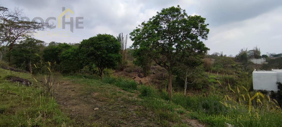 Terreno en venta Lencero Ver zona Bodegas Liverpool