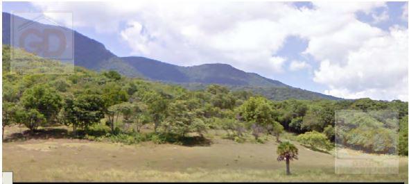 SE VENDE TERRENO RUSTICO ADJUDICADO (ESCRITURA EN TRAMITE)  ENTRE LLERA Y JAUMAVE, EN EL MUNICIPIO DE LLERA, TAMAULIPAS