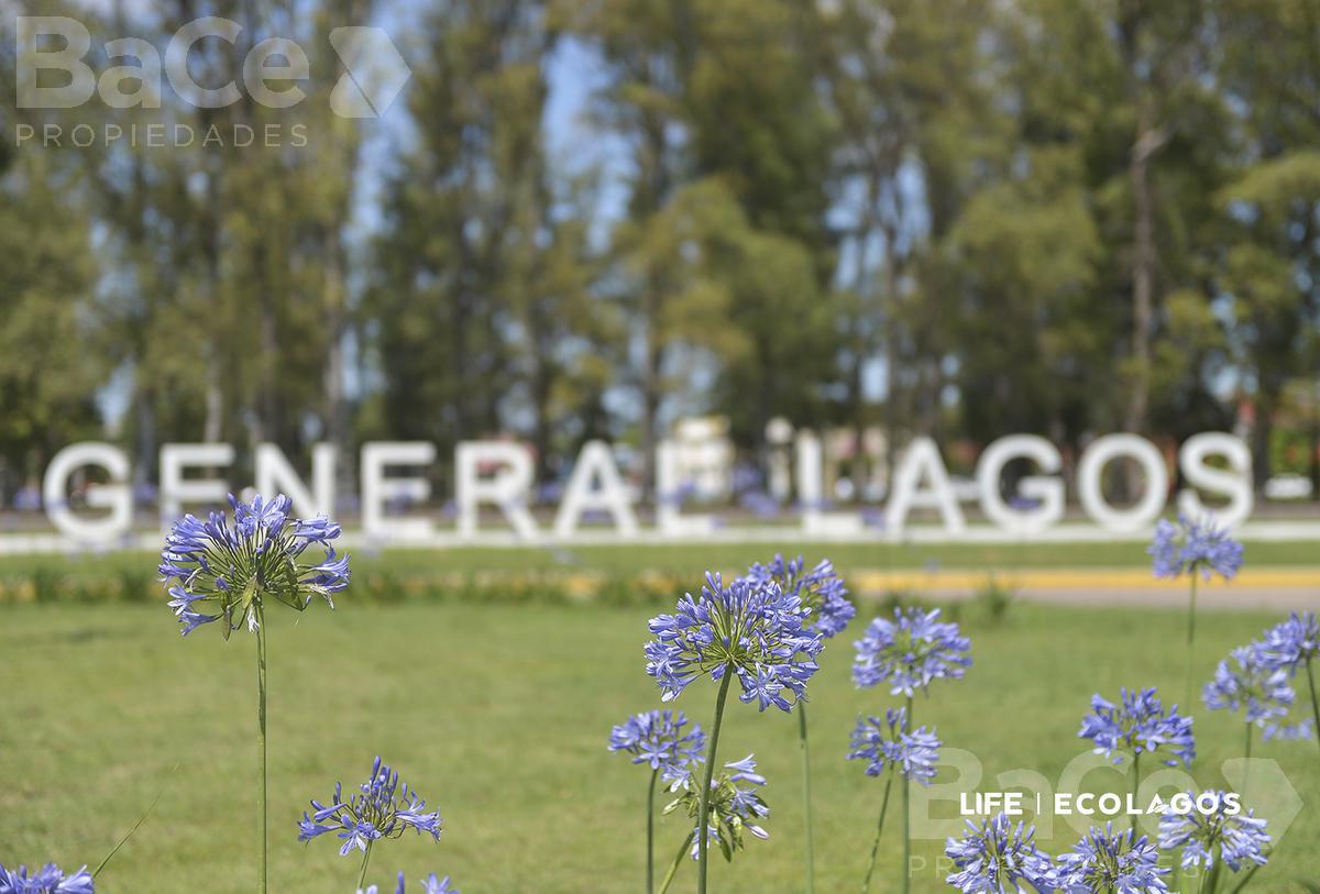 VENTA TERRENO GENERAL LAGOS EN PESOS Y CUOTAS