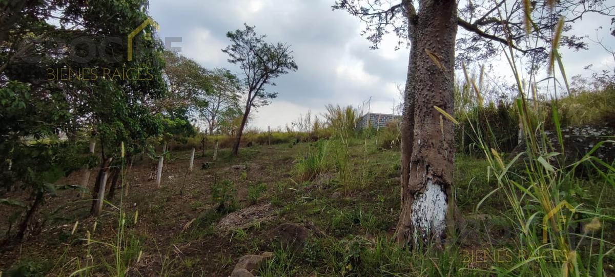 Terreno en venta Lencero Ver zona Bodegas Liverpool 1