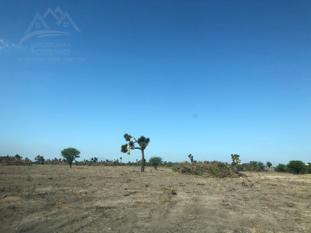 Terreno en venta 29.9 hectáreas industrial carretera a Laredo Ciénega De Flores Nuevo León.