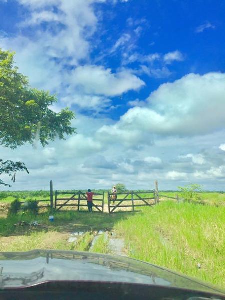 RANCHO EL ZAPOTE EN PALIZADA  CAMPECHE