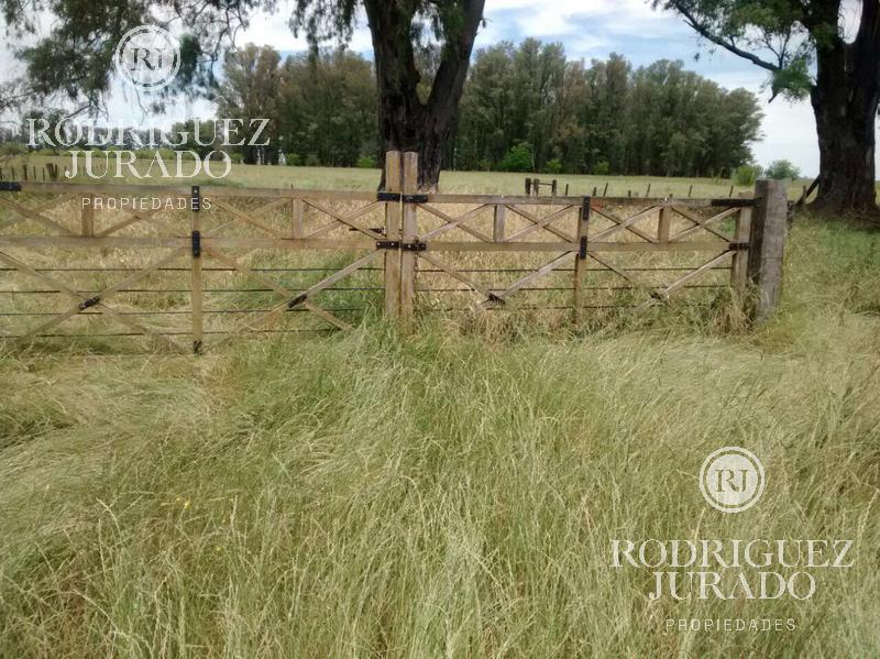 Campo de 53.3Ha - Tomas Jofre ÚNICA OPORTUNIDAD RE - TASADO - FINANCIACION