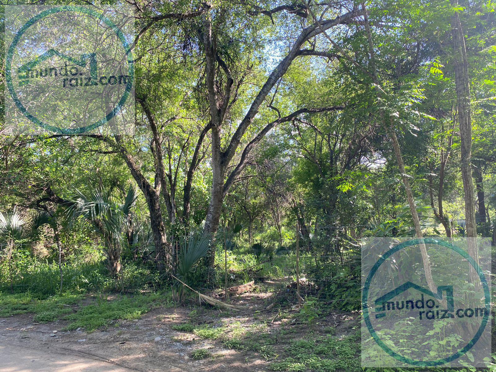 Terreno en Venta Congregacion los Ojos de Agua Santiago Nuevo Leon