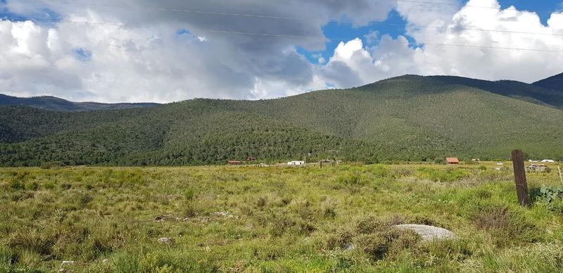 TERRENO DE 100 HAS. EN VENTA CON CABAÑAS CERCA BOSQUES DE MONTERREAL COAHUILA