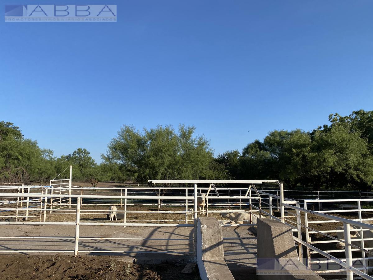 Rancho en Venta en Satevo, Chihuahua 450 Dolares por Hectarea