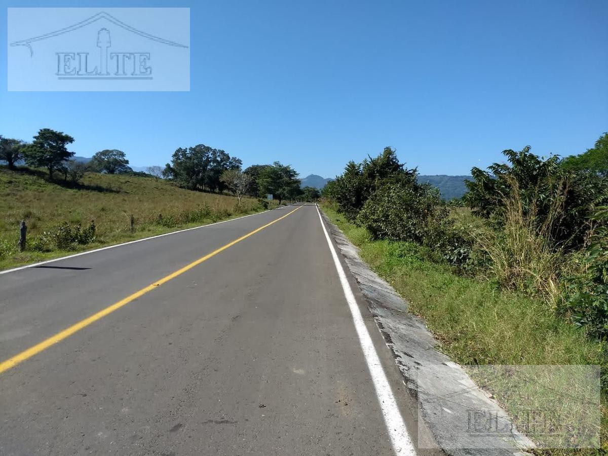 VENTA TERRENO A PIE DE CARRETERA MUNICIPIO DE VEGA DE ALATORRE