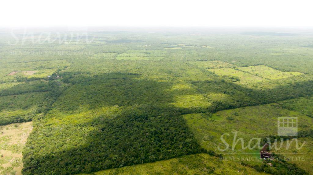 Terreno de 100 hectares en venta en Yucatan