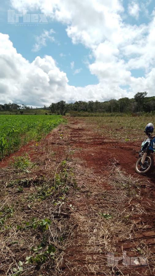 VENDO TERRENO EN HOPELCHEN, CAMPECHE A ORILLA DE CARRETERA