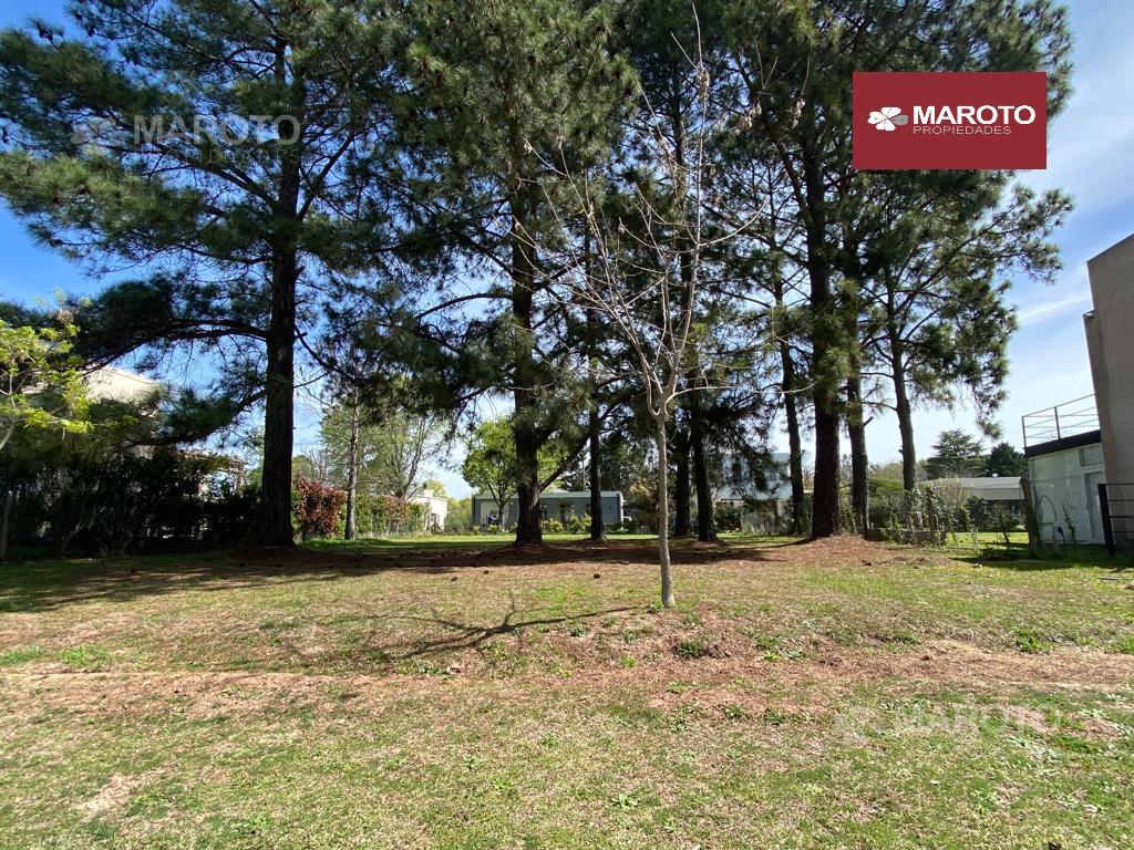 LOTE EN VENTA EN SAN MATIAS - MAROTO PROPIEDADES