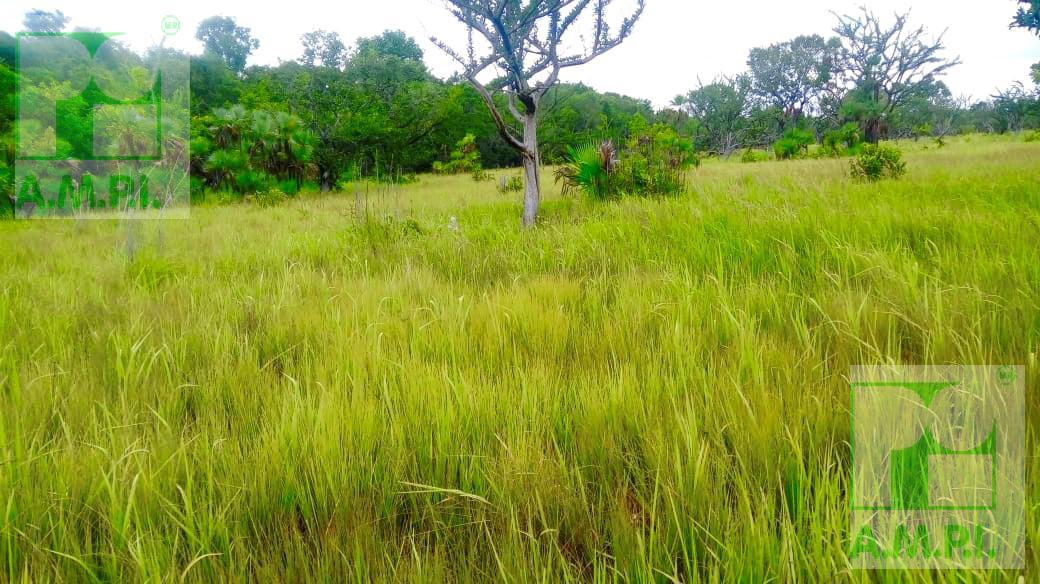 Terreno - Rancho o rancheria Santa Adelaida