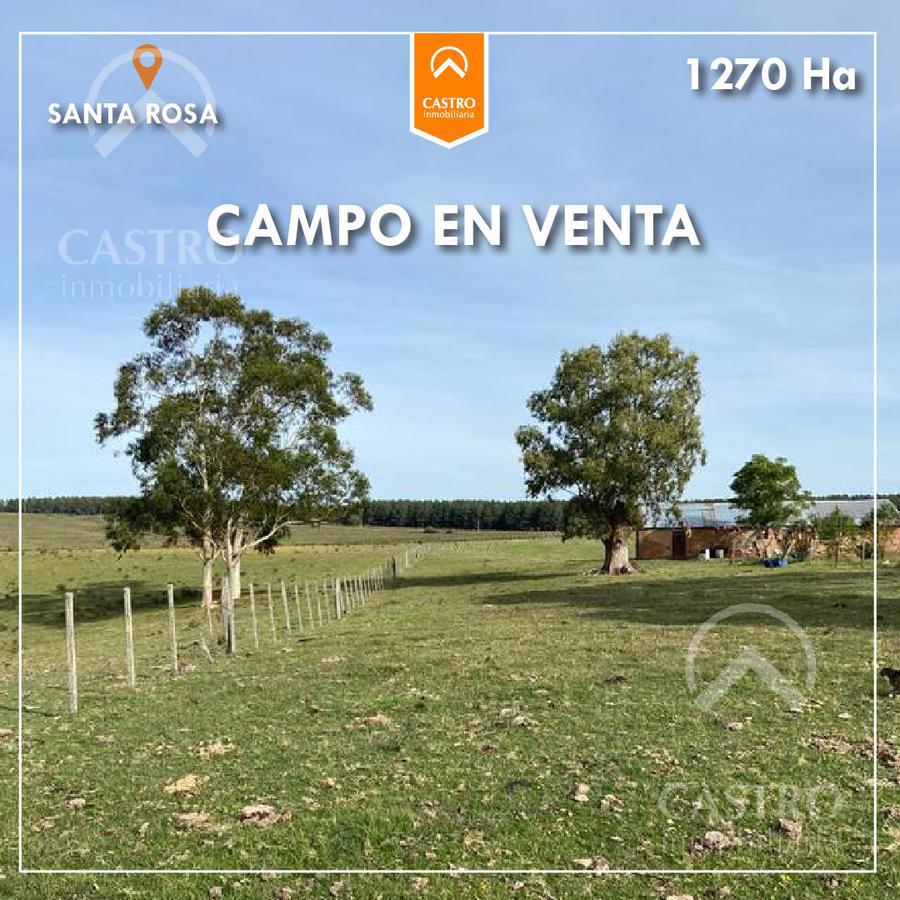 Venta Campo 1000xHas Santa Rosa