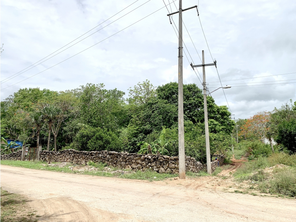 Bonito terreno con árboles frutales en Xcalacoop