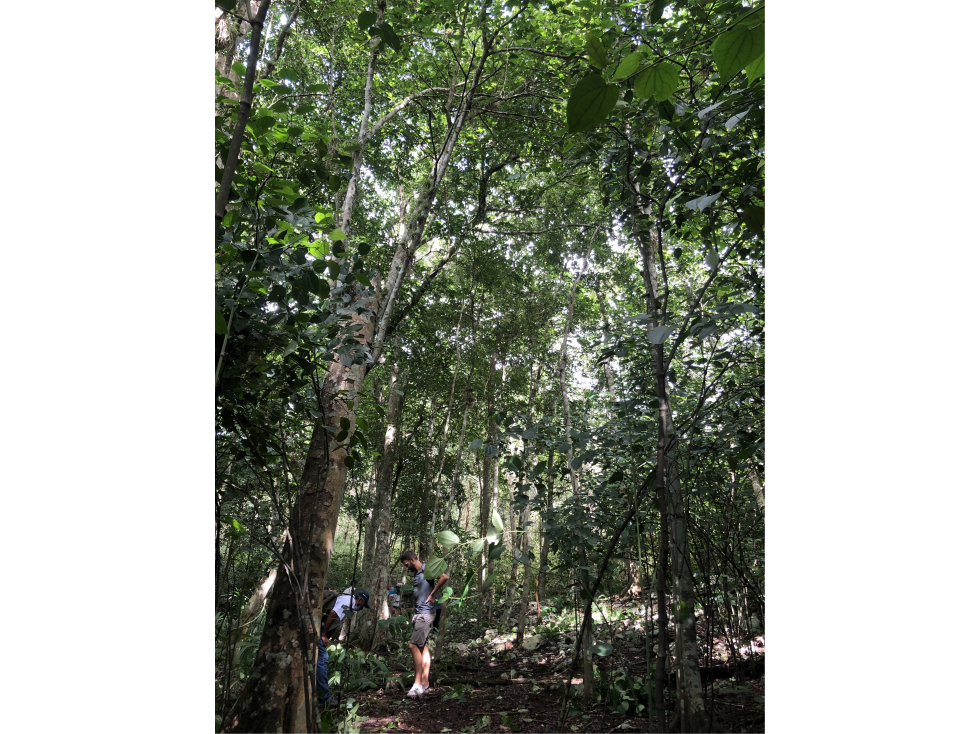 Cenote en venta cerca de Chichén Itzá