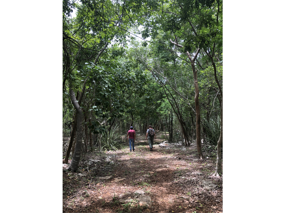 Rancho con cenote cerca de Nah Balam