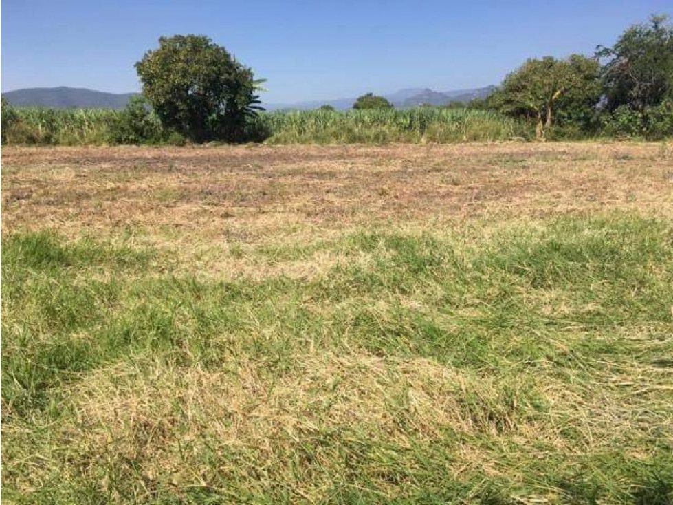 AMPLIO TERRENO EJIDAL CAMINO A OACALCO, YAUTEPEC MORELOS