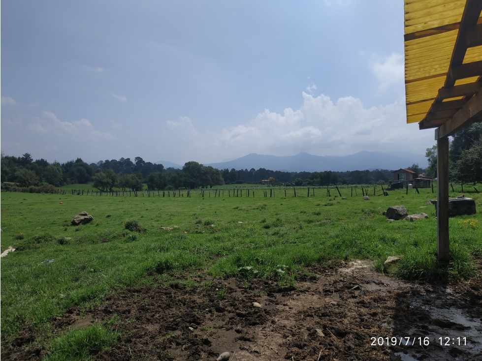 TERRENO EN CERRO GORDO