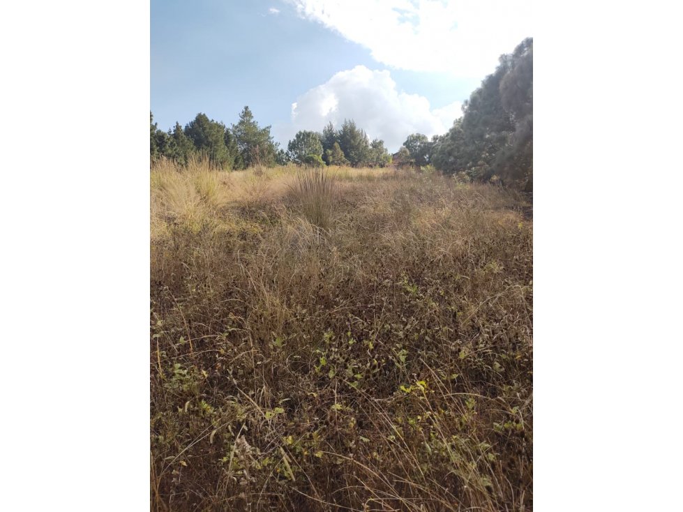 Hermoso terreno con vista panorámica al bosque de mazamitla, jalisco.