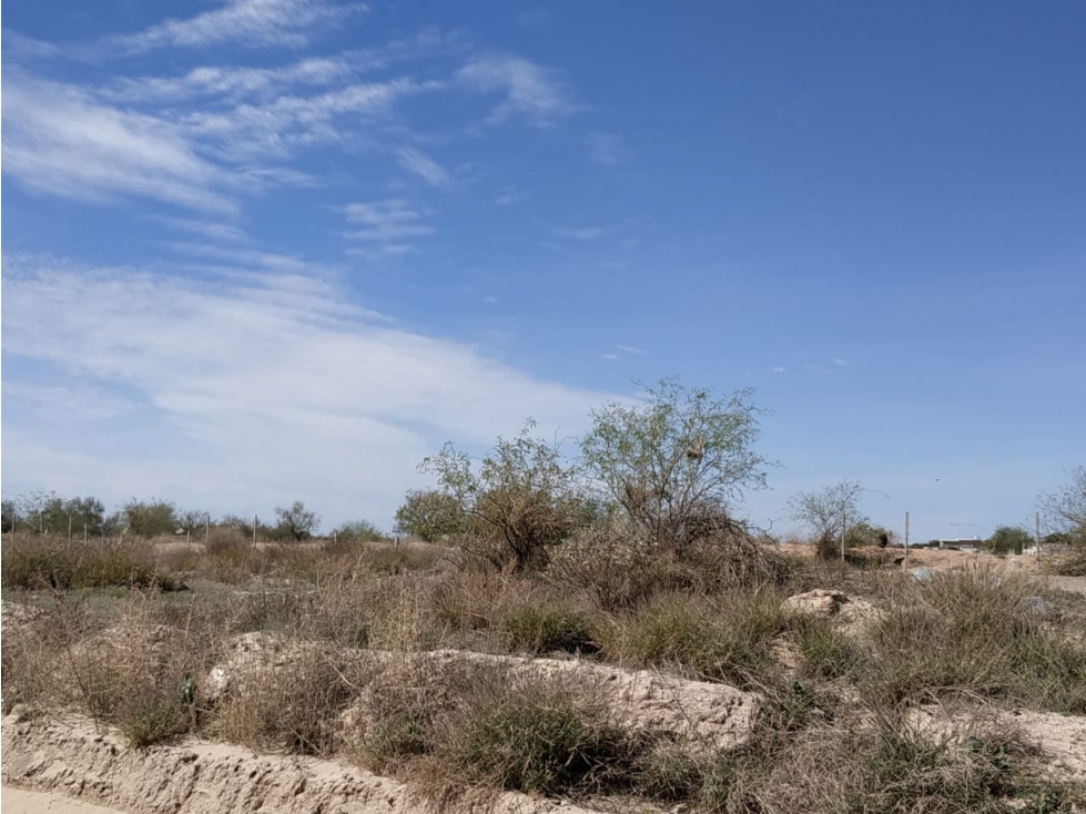 TERRENO en VENTA Prolongación el Chanate