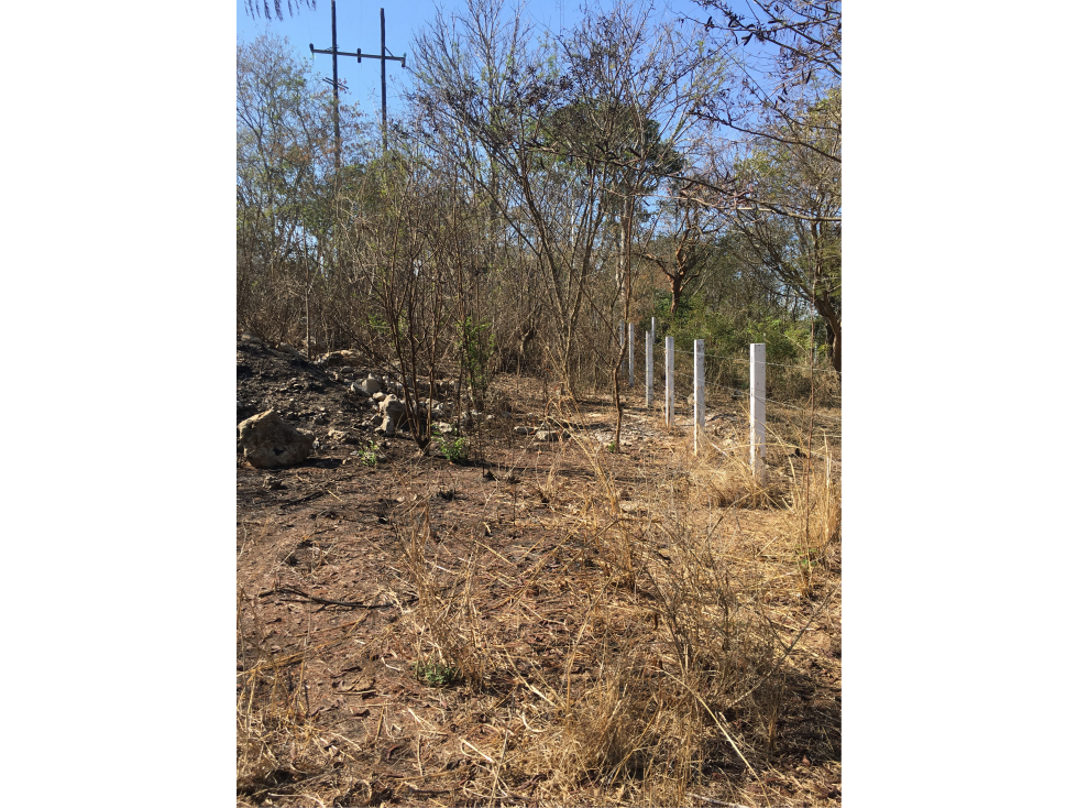 Terreno en Venta en la Col. El Jobo, a orilla de carretera