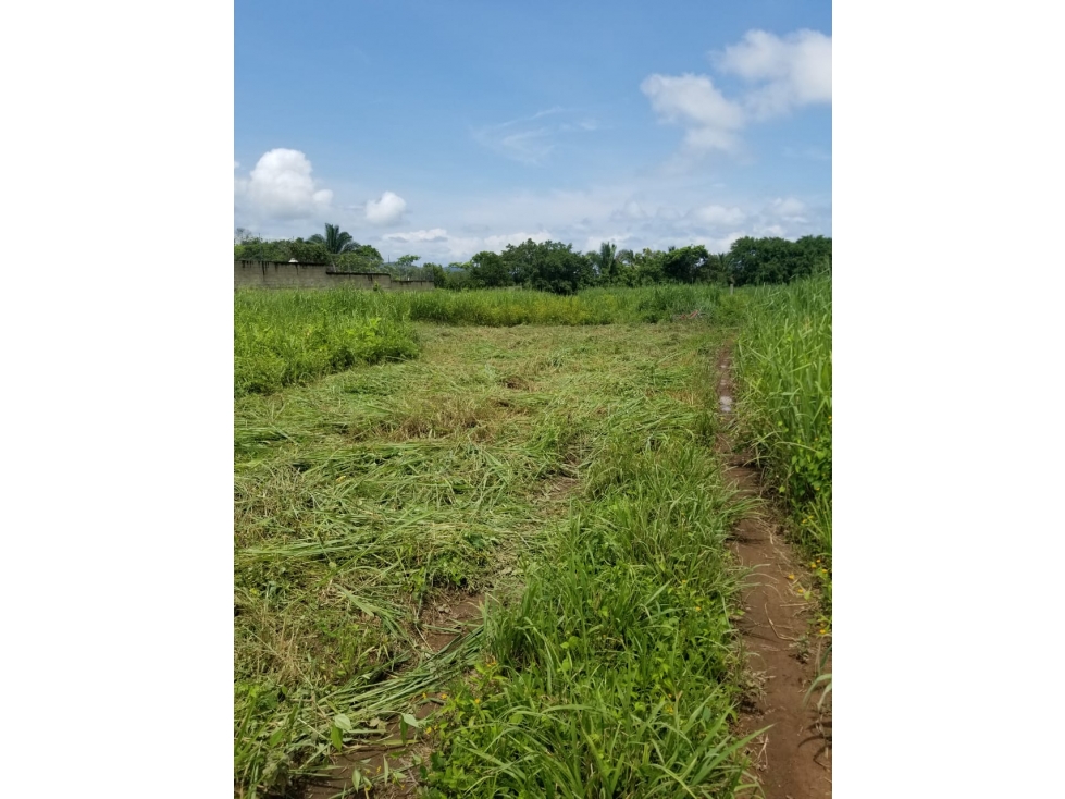 Terreno en la Peñita