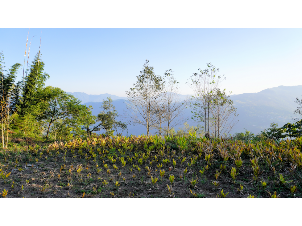 Venta de terreno con hermosa vista